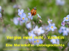 Vergiss-mein-nicht-Valentin.pdf